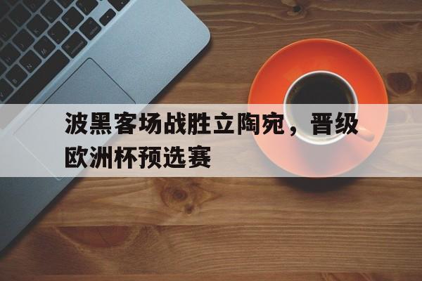 波黑客场战胜立陶宛，晋级欧洲杯预选赛的简单介绍